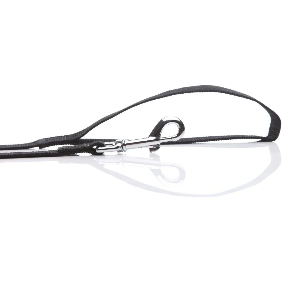 Nylon Dog Leash 10 Feet Long Walking Training Dog Leashes for Medium Large Dogs 1 Ih Wide Black
