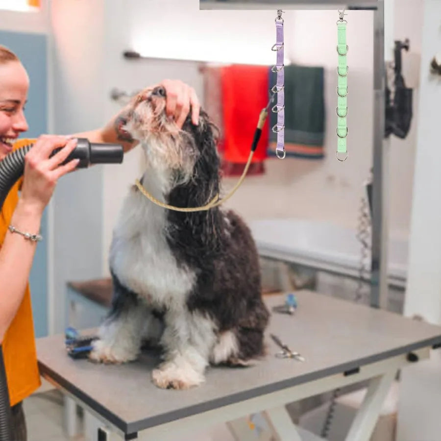 Dog Grooming Loops Dogs Grooming Table Arm Eender Straps 2 PCS 6 DRing Pet Groom Eension Strap Restranit Noose Leash Quick Rele