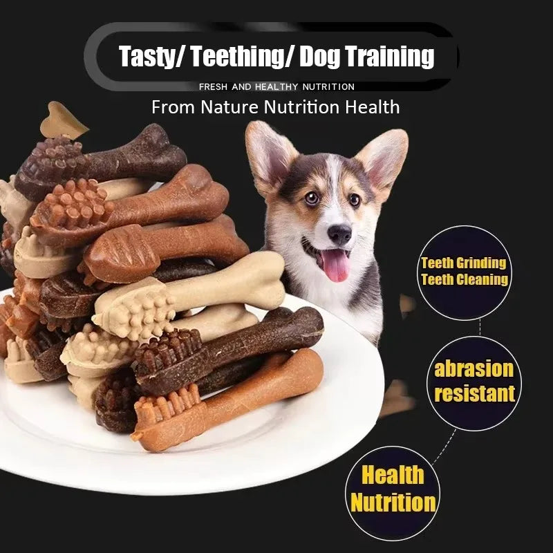 New Dog Bruxism Stick Toothbrush Bone Shape Fresh Natural Nutrition Healthy Adult Dogs Puppy Training Rewards Pet Food Snacks