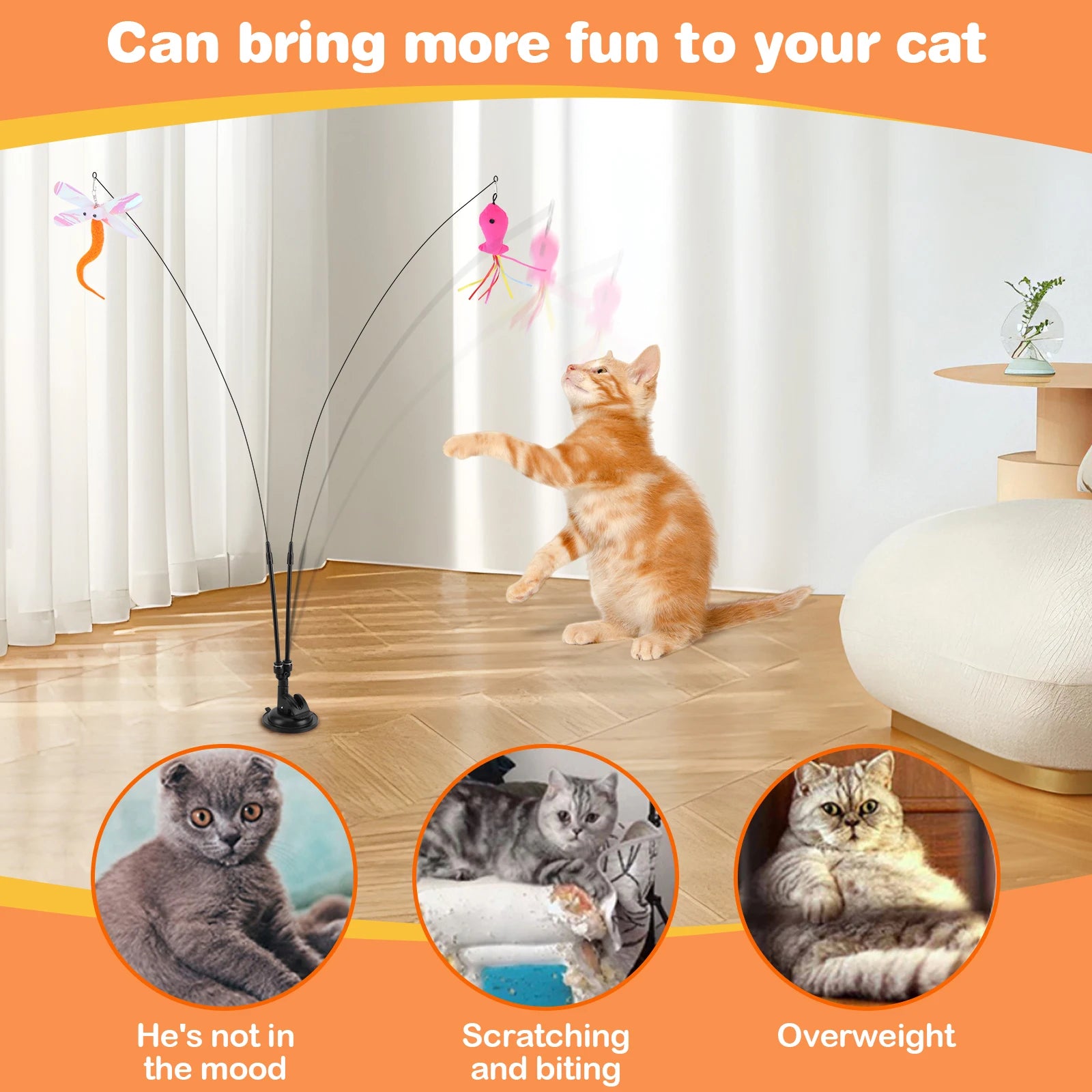 Pet Cat Toy Set Teaser Stick Set Double Headed Interactive Cat Toy Handfree Cat Toy Stick for Cat Training Playing Accessories