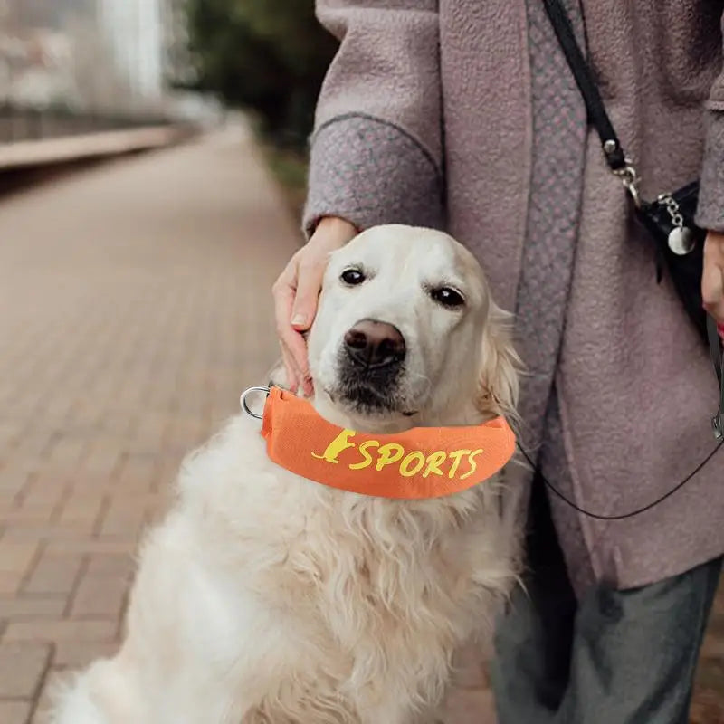 Retractable Dog Leashes Retractable Dog Collar Adjustable Wear-Resistant Dog Leashes Walking Leashes Safe Dog Tape For Pet Dog