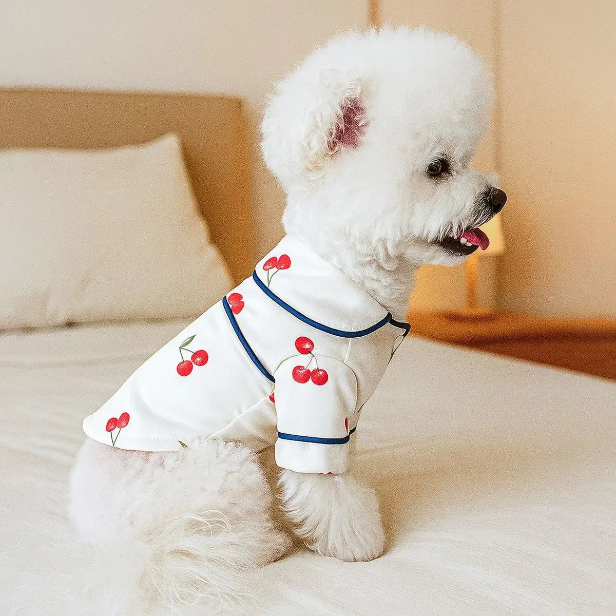 Silk Pet Pajamas - Luxuriously Comfortable Home Clothes for Small Dogs & Cats
