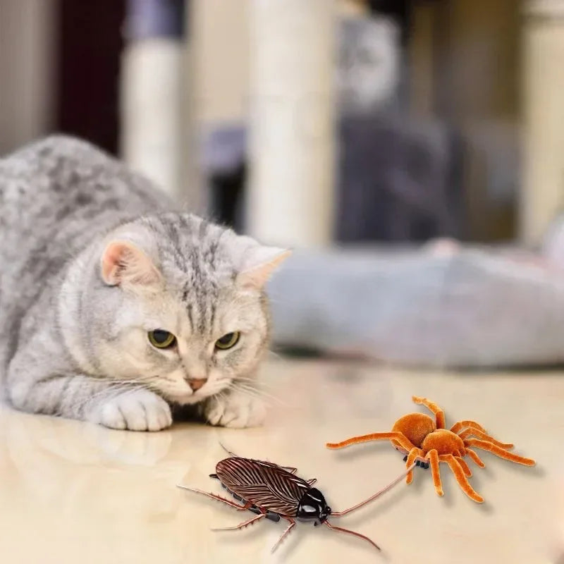 Pet Interactive Electric Cockroach Spider Cat Toy Battery Operated Vibration Pet Insect Playing Toy Holloween Joke Gifts