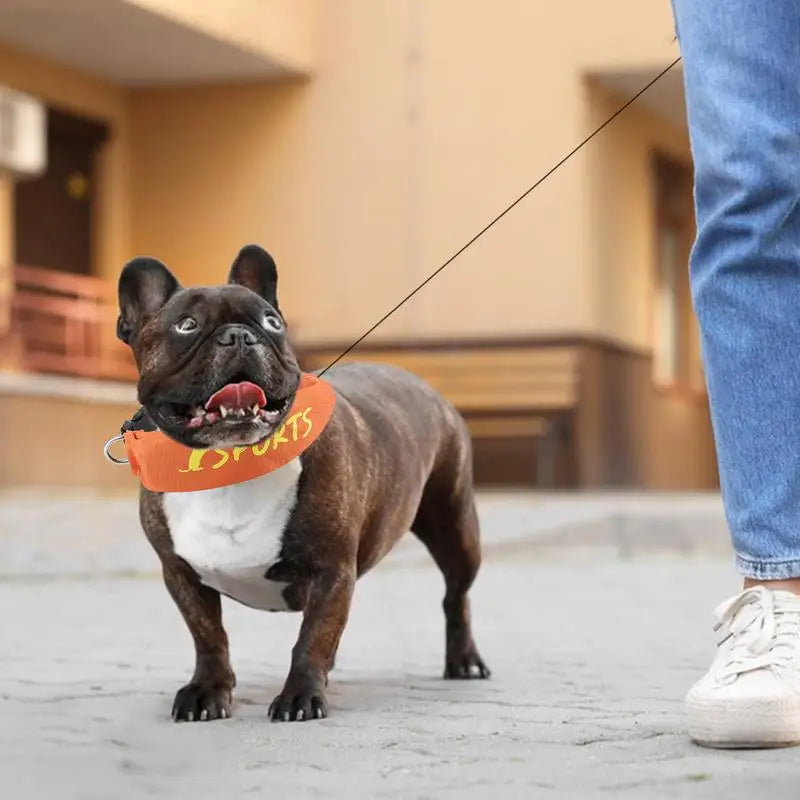 Retractable Dog Leashes Retractable Dog Collar Adjustable Wear-Resistant Dog Leashes Walking Leashes Safe Dog Tape For Pet Dog