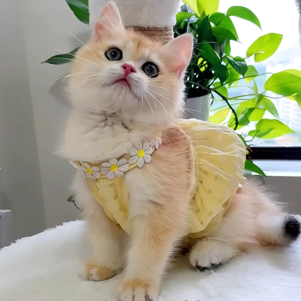 Pretty Small Cat Dress Summer Cute Small Dog Skirt Thin Yellow Floral Wreath Collar Mini Puppy Princess Dress Breathe Cat Skirt