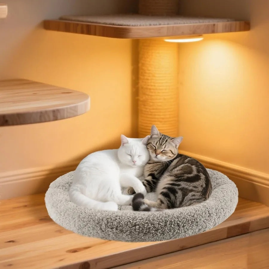 Round Cat Bed for Indoor Cats and Small to Medium Dogs 19.5 x 19.5 x 2 Inch Self-Warming Pet Bed with Surrounding Pillow Plush