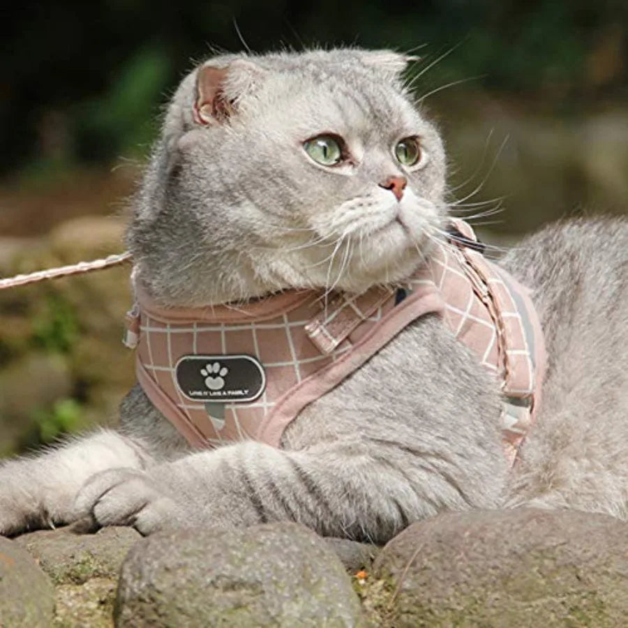 Soft Mesh Dog Harness and Leash Set for Walking No Pull Adjustable Reflective Puppy Stepin Vest Harness for Puppy Small Medium