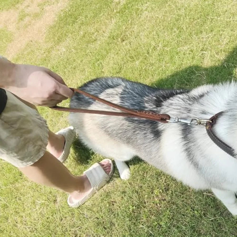 Leather Short Dog Leash 12"Strong Traffic Leash for Dogs with 360º Heavy Duty Metal Hook for Big Large Medium Dogs Training and