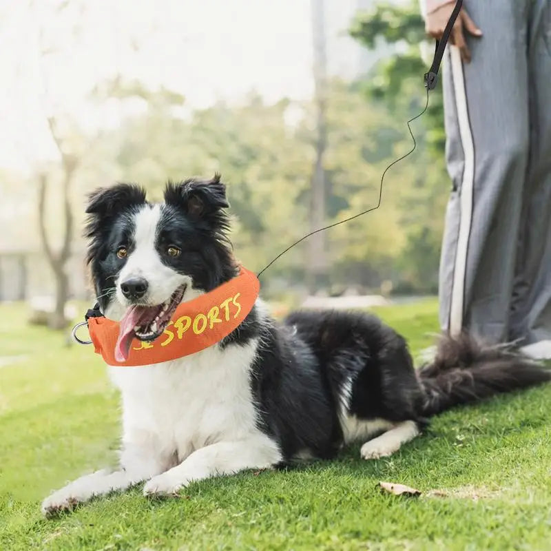 Retractable Dog Leashes Retractable Dog Collar Adjustable Wear-Resistant Dog Leashes Walking Leashes Safe Dog Tape For Pet Dog