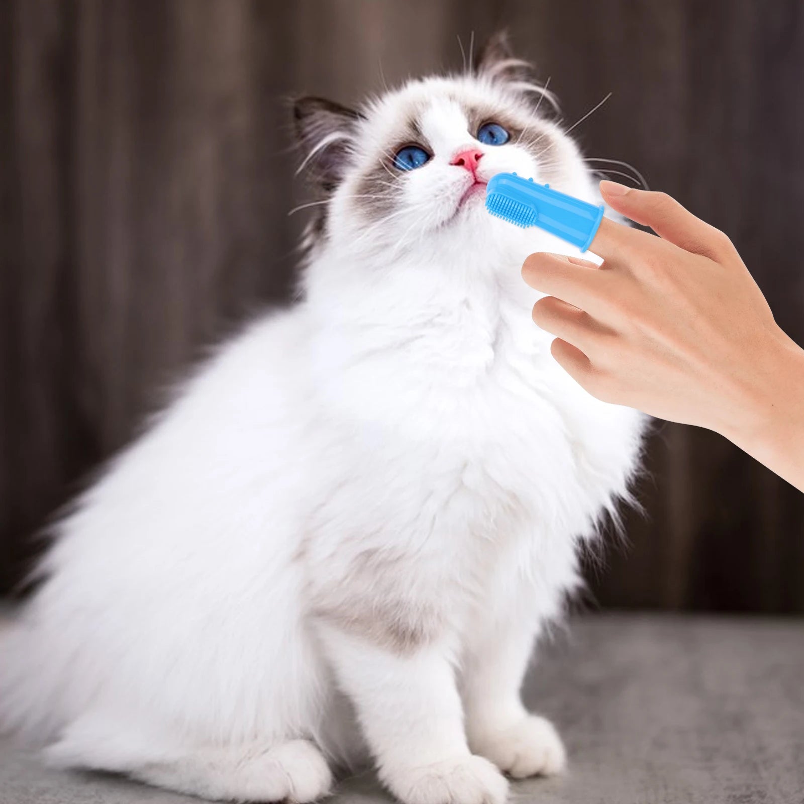 6PCS Pet Grooming Kit Silicone Dog Bath Brush Dog Toothbrush Finger Dog Shampoo Brush for Dog Cat Bathing Massaging & Grooming