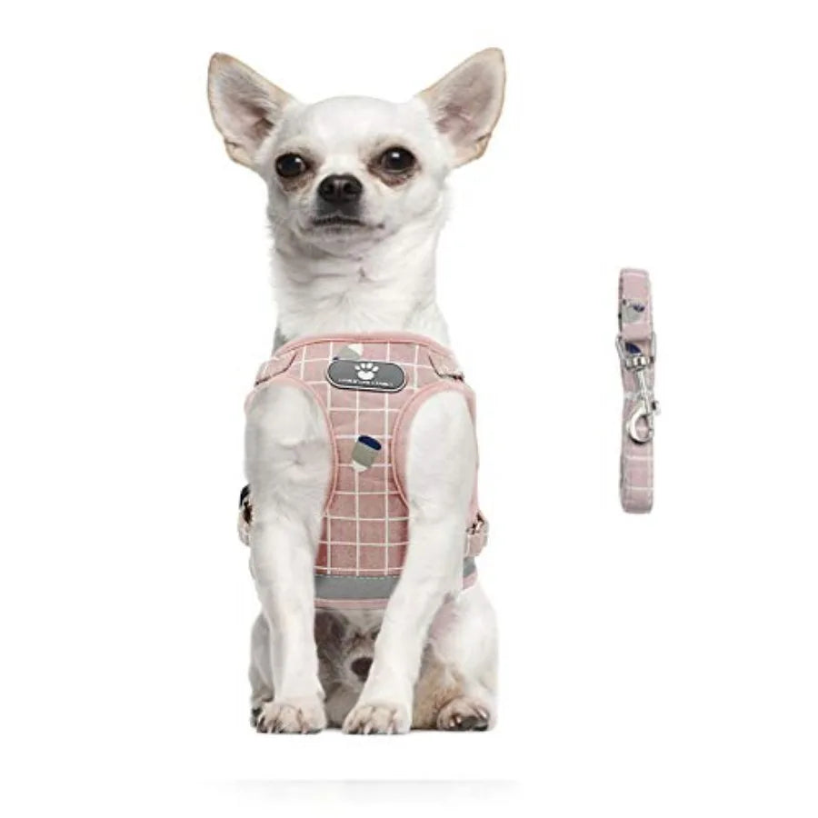 Soft Mesh Dog Harness and Leash Set for Walking No Pull Adjustable Reflective Puppy Stepin Vest Harness for Puppy Small Medium