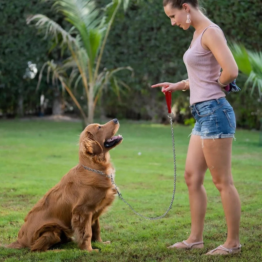 Chain Dog Leash with Padded Handle Durable Chew Proof for Medium and Large Dogs 4 ft x 3.0 mm