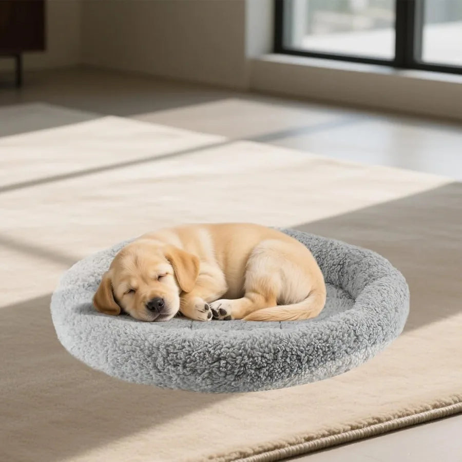Round Cat Bed for Indoor Cats and Small to Medium Dogs 19.5 x 19.5 x 2 Inch Self-Warming Pet Bed with Surrounding Pillow Plush