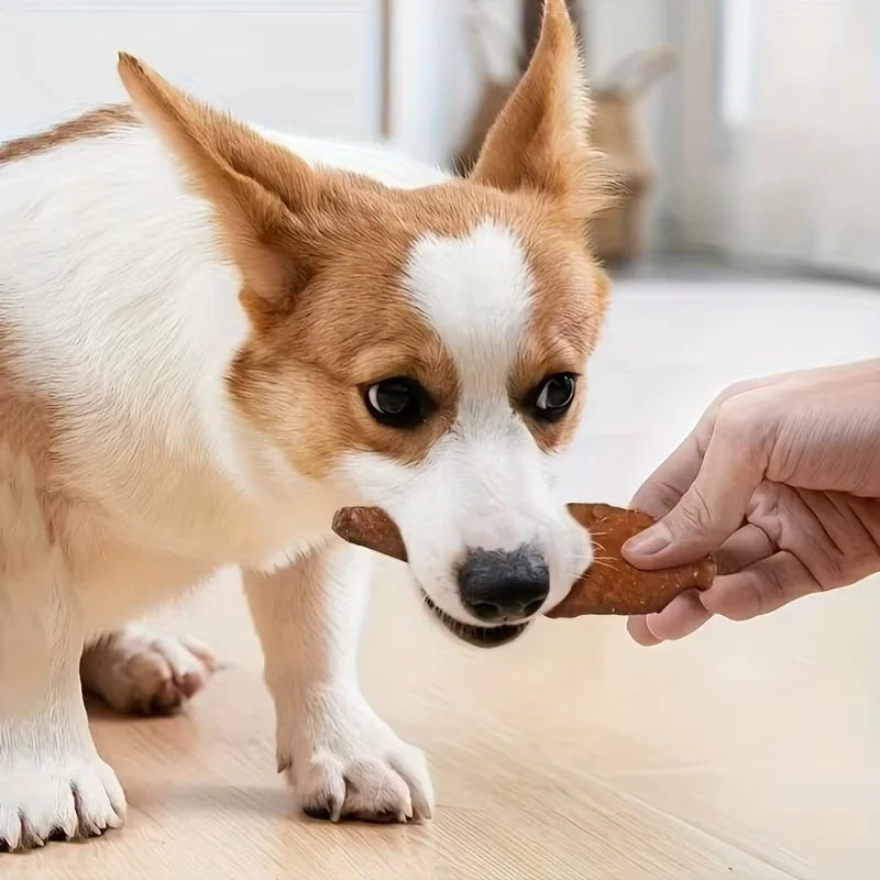 Dog Food Snacks Delicious Beef Jerky/Duck Jerky/Chicken Sweet Potato Sticks/Turkey Meatballs/Dried Salmon Pet Food for Dogs