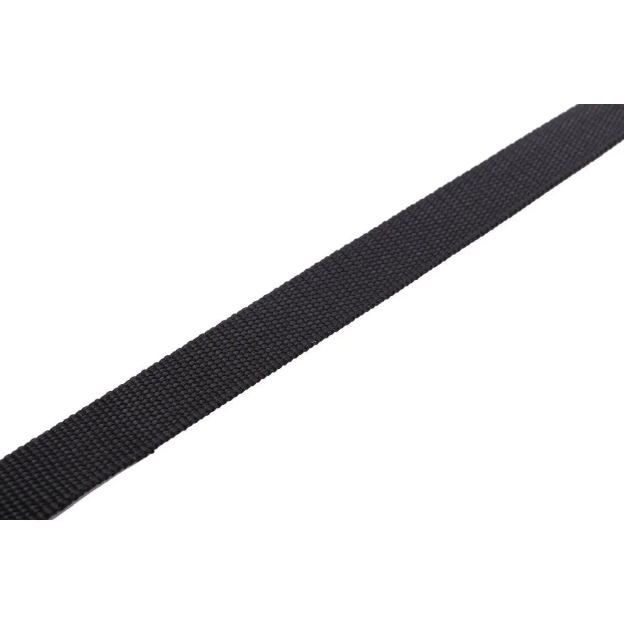 Nylon Dog Leash 10 Feet Long Walking Training Dog Leashes for Medium Large Dogs 1 Ih Wide Black